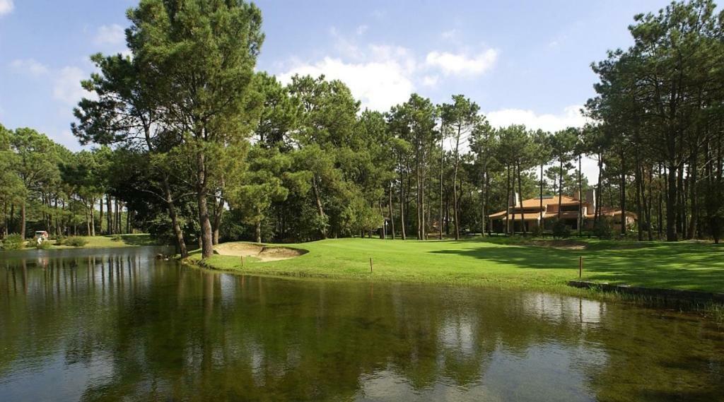 Sea Breeze Golf & Beach Villa Шарнека Экстерьер фото